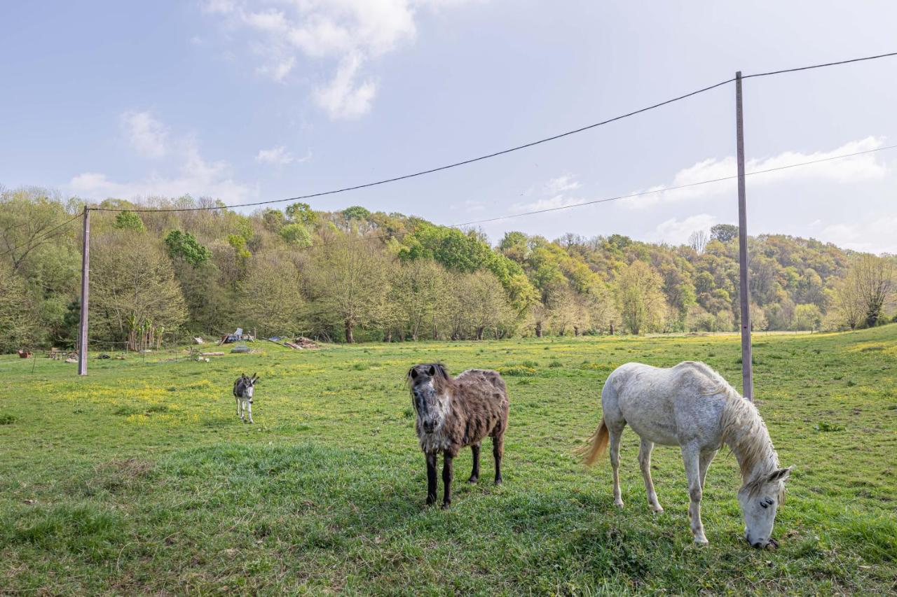 Gite Le Moulin Pocheluberry Bidache Esterno foto